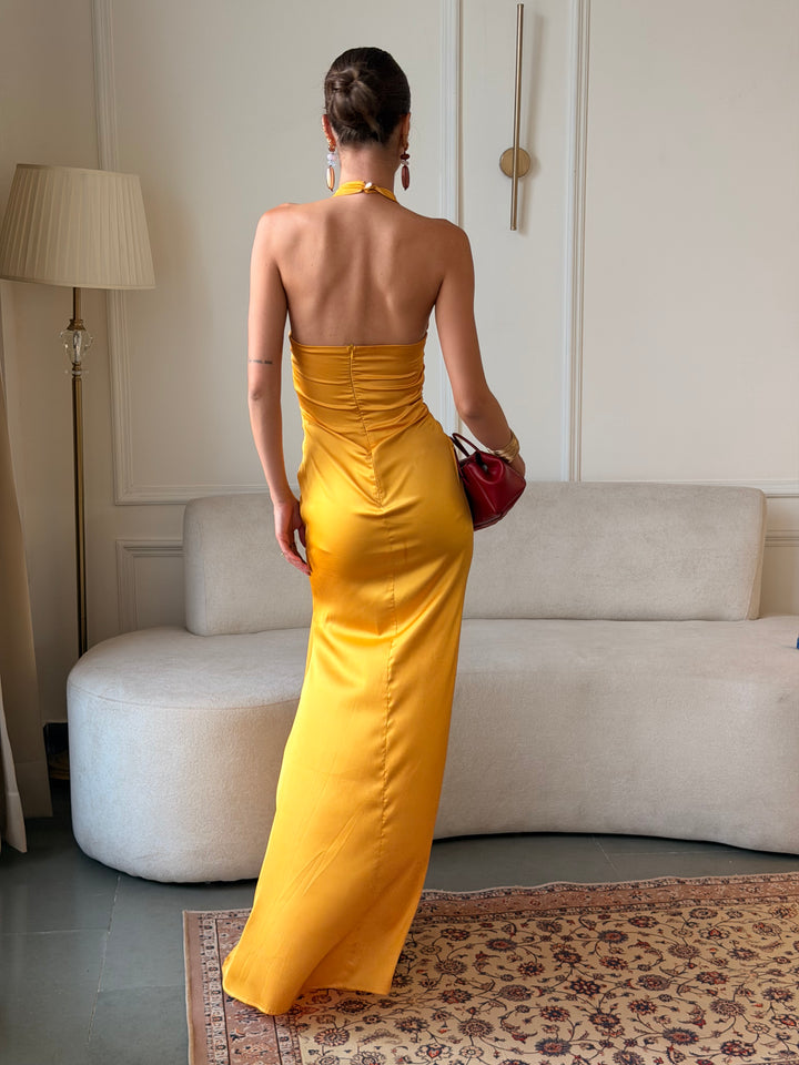 THE GOLDEN DRESS