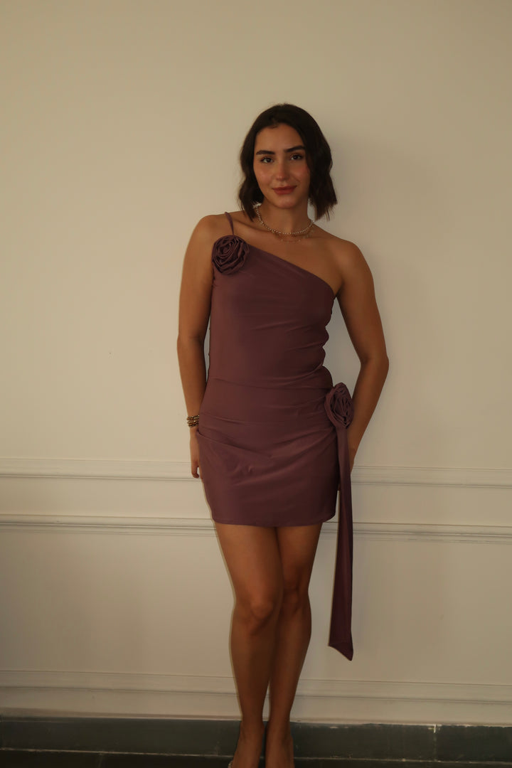 Raegan Dress