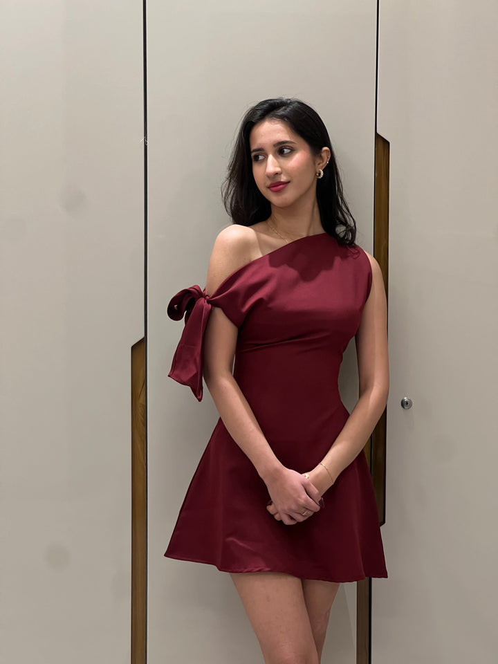 SASHA DRESS